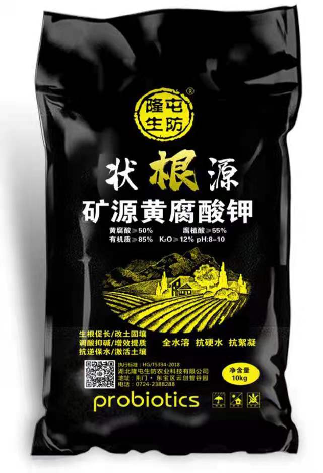 状根源